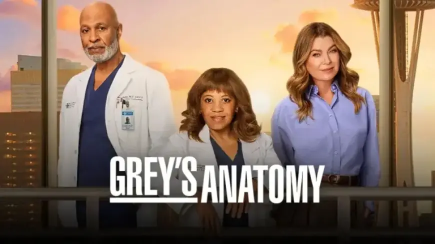 “Grey’s Anatomy Halts Production Friday Due to National Shutdown”