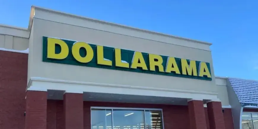 Top 19 Dollarama Finds and New Arrivals This Month