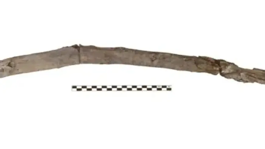 Microsoft Plans Linux-Style Top Menu Bar for Windows 11 via PowerToys