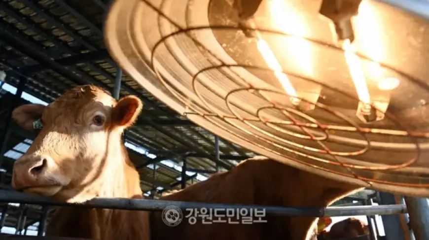 Cold Snap Continues Until Weekend; Fire Risk Increases with Dry, Windy Conditions