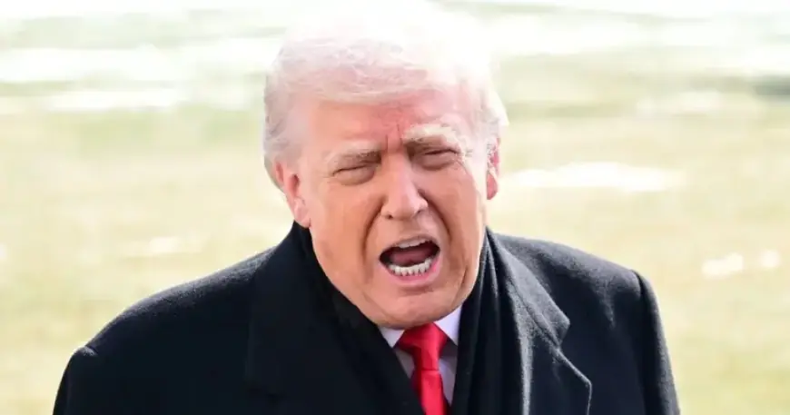 Trump, 79, Unleashes Midnight Rant on Slain Nurse Alex Pretti