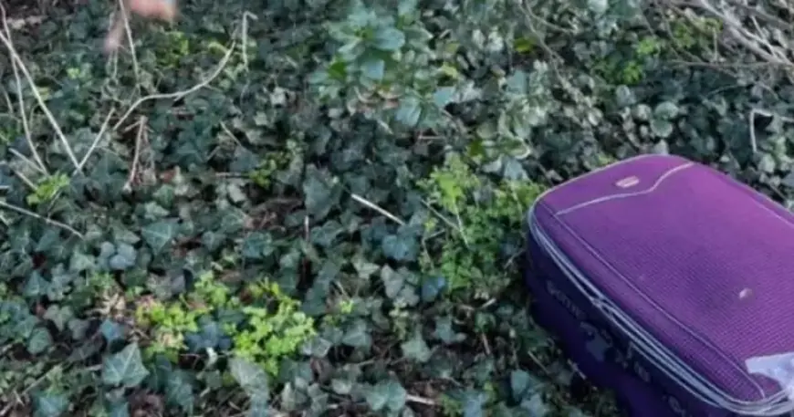 Dog Abandoned with Slashed Throat at Scenic South West Location