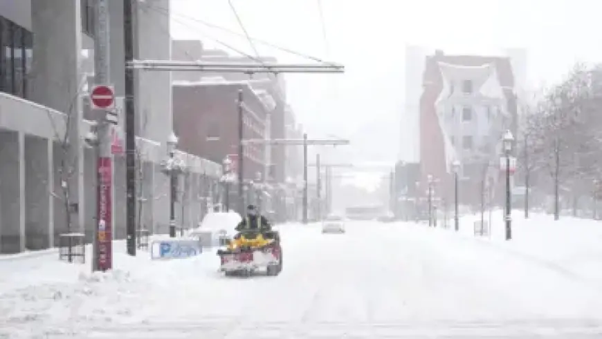 Fresh Snow and Light Winds Grace Big White’s Slopes
