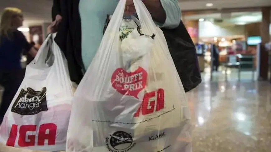 Appeals Court Upholds Ottawa’s Toxic Plastic Classification