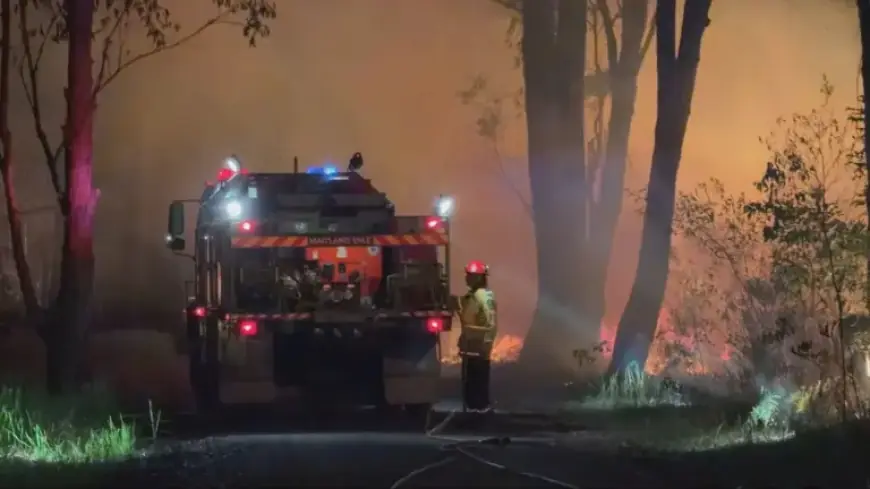 Oyster Cove Bushfire Near Medowie Remains at Advice Level