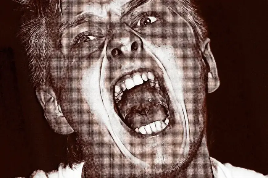 Bitcoin Crash Sparks a Meltdown Among Cryptocurrency Enthusiasts