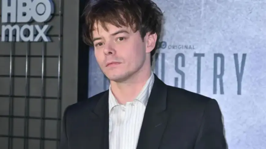 “Stranger Things Star’s Surprising Parenthood and Age Gap Stun Fans”