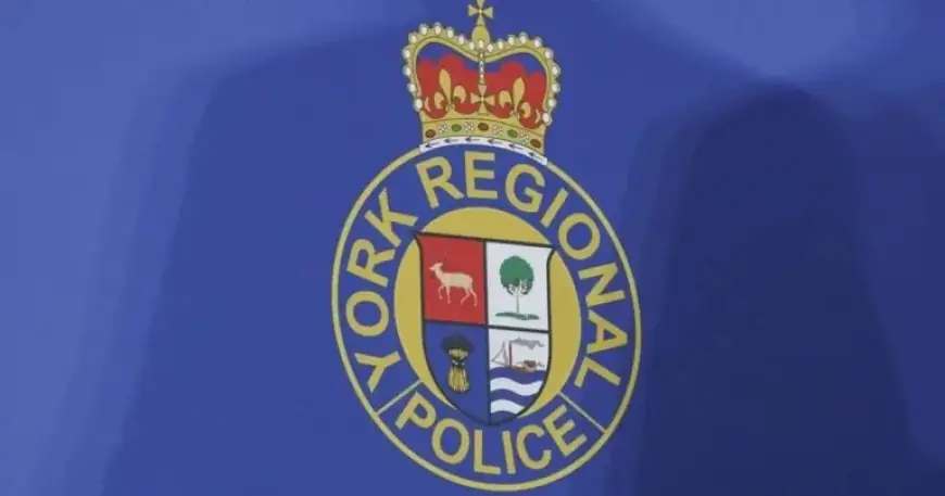 York Police Investigate Alleged Officer Assault on Lawyer at Oshawa Courthouse