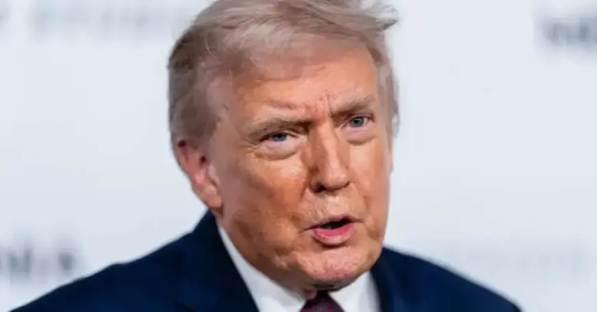 Feds Unveil Document Linking Trump to Epstein Tips