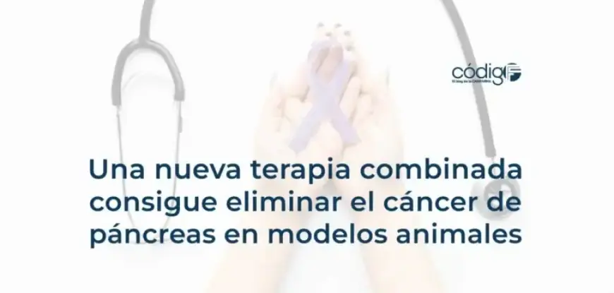 New Combination Therapy Eliminates Pancreatic Cancer in Animal Models