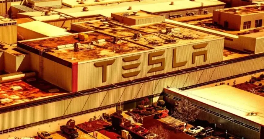 Elon Musk Converts Tesla Factory for Robot Production