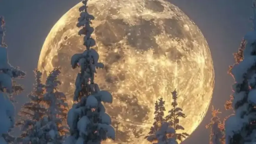 February 2026 Snow Moon: 4 Zodiac Signs Most Affected