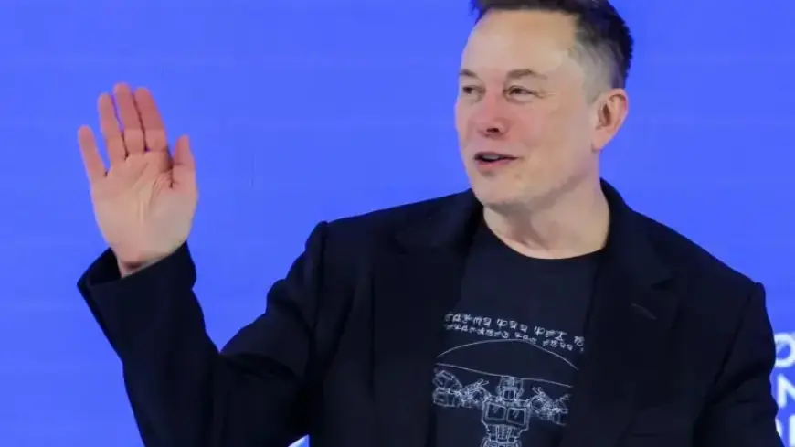 Musk Discussed Private Island Parties with Epstein in Emails