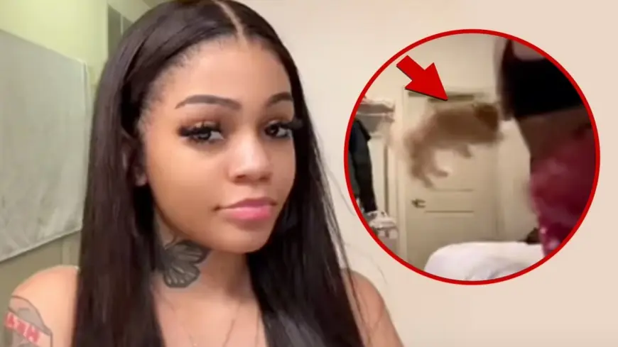 Aspen Kartier suspended by Twitch after viral dog clip sparks backlash