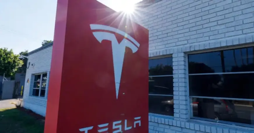 Tesla Soars Amid SpaceX Merger Talks, Boosting Musk Empire Integration Hopes