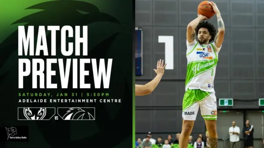 Phoenix Set to Regroup in Critical Adelaide Clash with Drewitt’s Bulbs