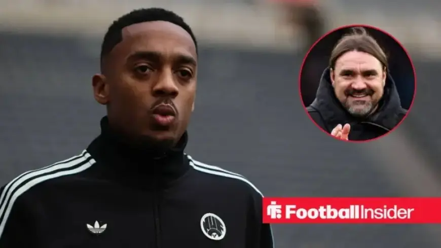 Eddie Howe Reconsiders Joe Willock Decision Following Newcastle Developments