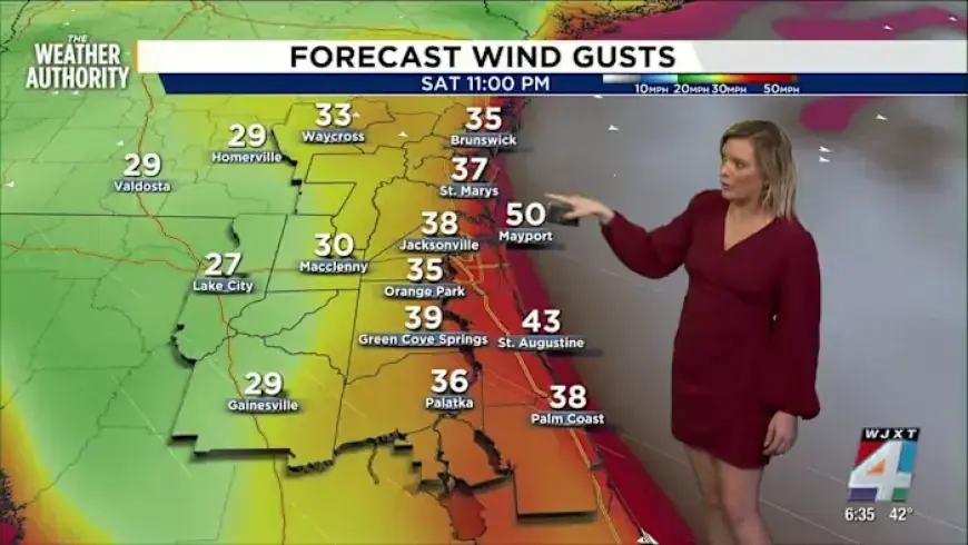 Jacksonville Prepares for Arctic Blast: Extreme Cold and Freeze Warnings Announced