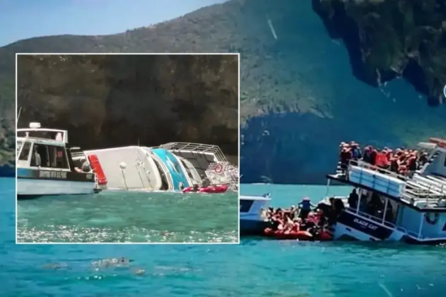 Witnesses Sought After Black Cat Ferry Grounds in Akaroa Harbour