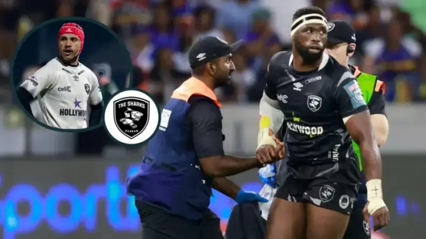 Siya Kolisi Leads Springbok Stars Back to Sharks for Stormers Clash