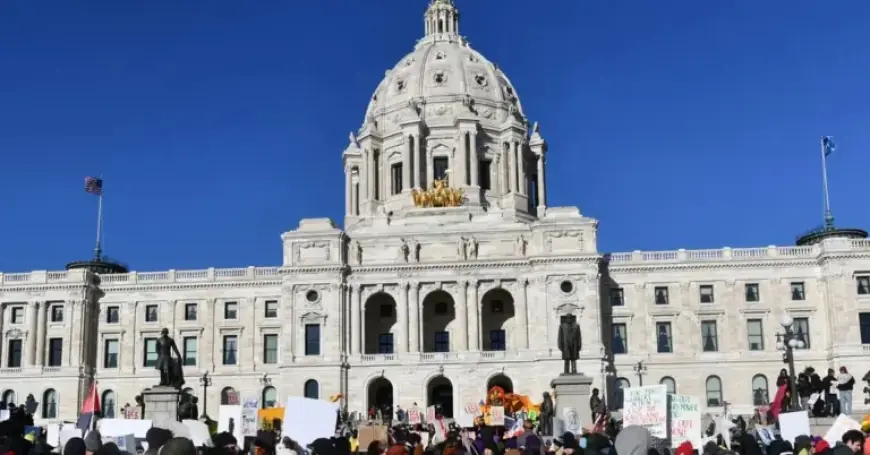 Minnesota Senate Examines ICE Violence Testimonies in Twin Cities