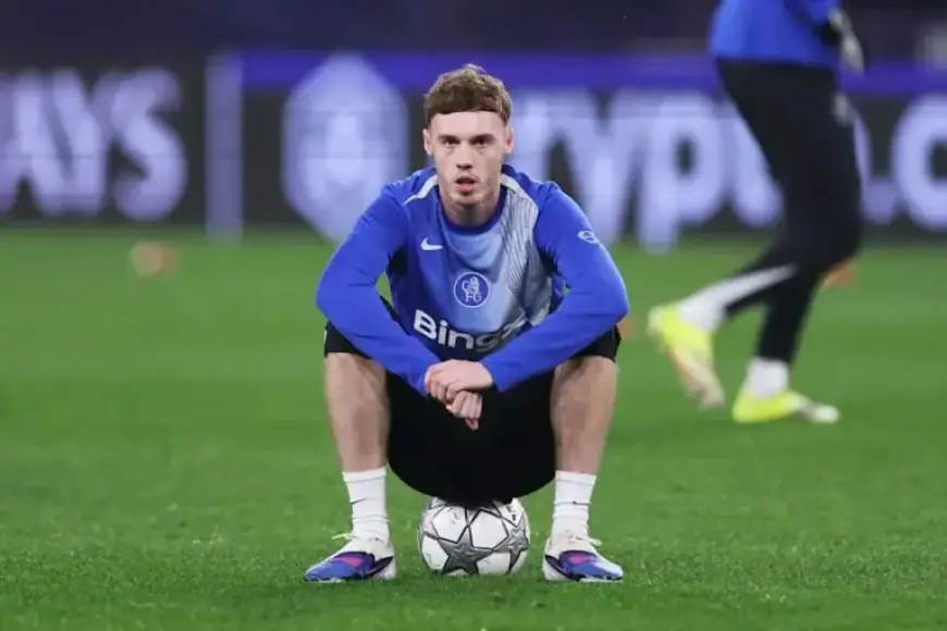 Liam Rosenior Confident Blues Will Showcase Cole Palmer’s Brilliance | Filmogaz News