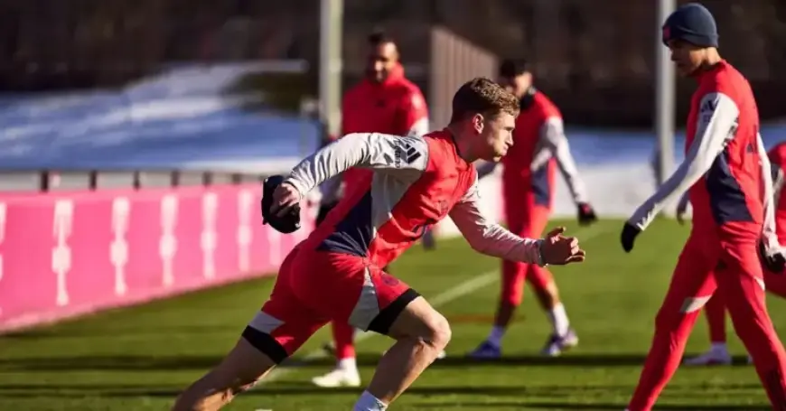 Hamburg Faces Bayern in Bundesliga Matchday 20 Showdown