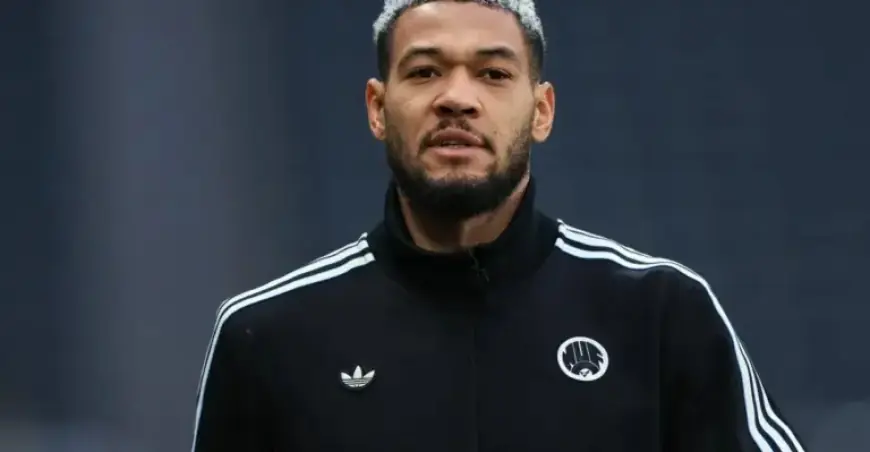 Newcastle Faces Worrying Update on Joelinton’s Condition
