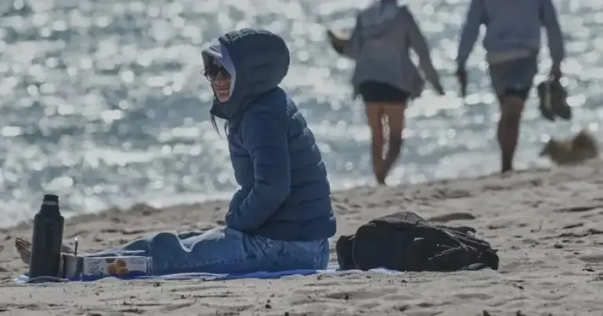 Florida Prepares for Frost Amid U.S. Winter Storm Impact