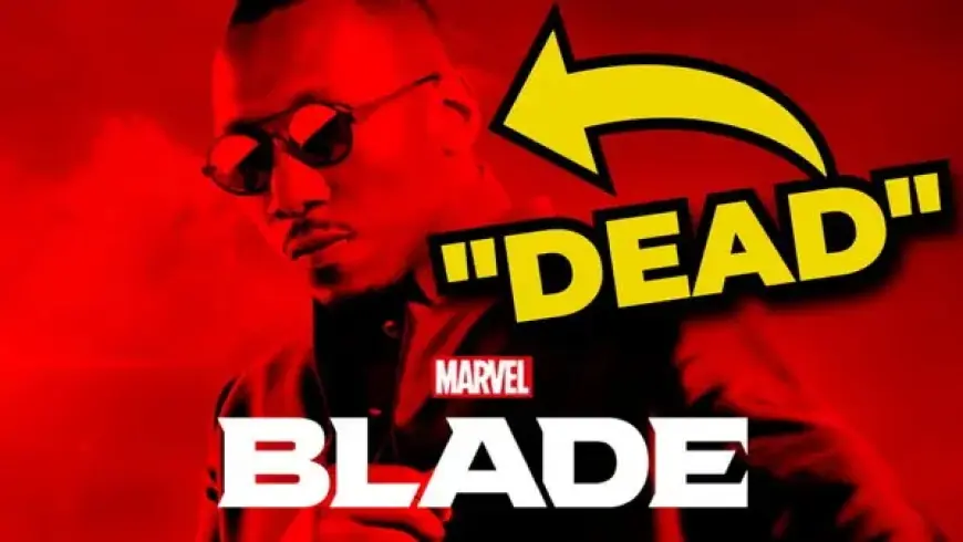 “20 Canceled Upcoming Films & TV Shows: Latest Updates”