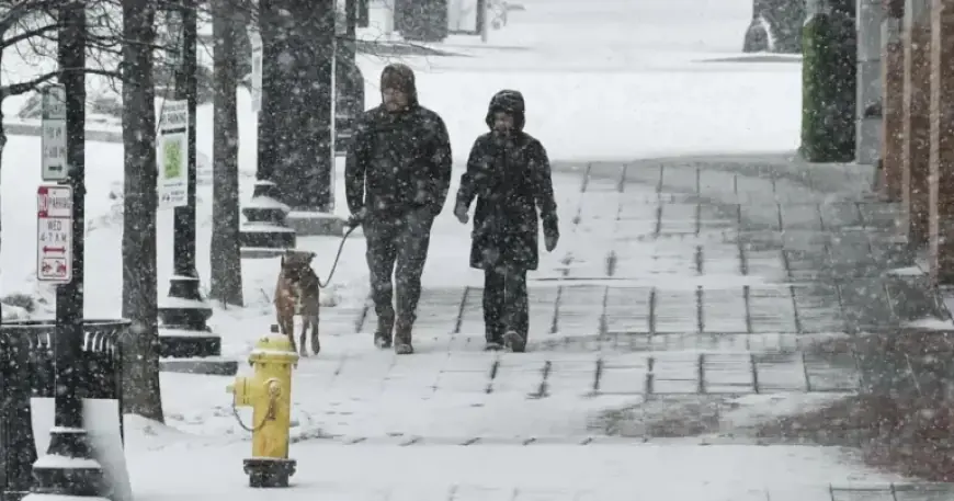 Winter Storms Target South: Millions Brace for Intense Cold Alerts