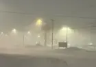 Snowstorm Forces Shutdown in Newfoundland Metro Area