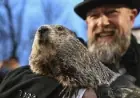Groundhog Day 2026 results: Punxsutawney Phil sees his shadow, calls for more winter