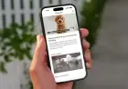 Ring Expands ‘Search Party’ to Help Non-Ring Users Find Lost Dogs