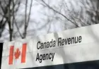Canadians Hold $2B in Unclaimed Federal Cheques from Last 4 Years
