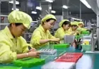 Chinese Manufacturing Activity Hits Highest Level Since October