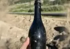 150-Year-Old Alcohol Bottle Unearthed in Rare Location
