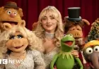 Critics Praise The Muppet Show Revival for Nostalgia and Bold Humor – BBC