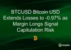 Bitcoin USD Slips 0.97% as Margin Longs Indicate Capitulation Risk