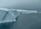 Scientists’ Attempt to Drill ‘Doomsday Glacier’ Thwarted by Antarctic Ice