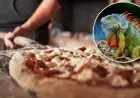 Florida Restaurant Surprises Diners with Iguana-Topped Pizza