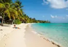 Discover the Dominican Republic: The Ultimate February Escape for British Travelers