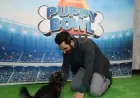 Puppy Bowl 2026: When it is, what time it starts, and how to watch and adopt