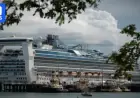 Investigation Launched into Luxury Cruise Ship Amid ‘Horrifying’ Condition Claims