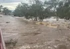 Major Floods Strike Alice Springs, Closing Roads