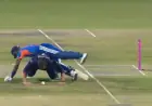 Hardik Pandya, Namibia’s Gerhard Erasmus Collide in Hilarious T20 Moment