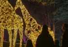 Wildlife Park’s Dazzling Light Trail Returns with Exciting New Surprises