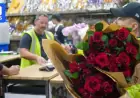 Flower Industry Seeks Clearer Labels Amid $220M Valentine’s Sales