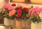 Providence Florist Ready for Valentine’s Day Surge