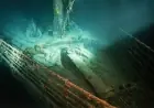 New study reveals surprising sea life colonising the Titanic wreck 3,800 metres down